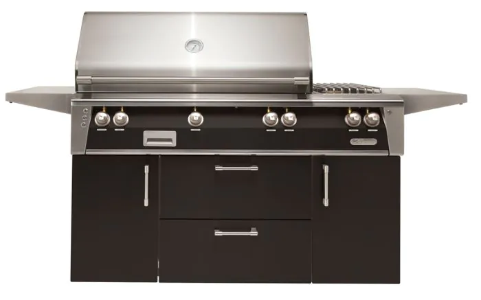 Alfresco ALXE Gas Grill