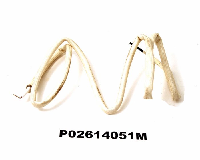 5B Rotisserie Burner Electrode