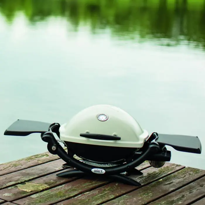 Weber q1200 lp gas grill store